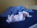 IMGP3435.JPG